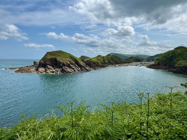 Devon